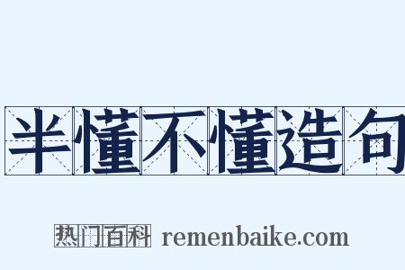 半懂不懂造句是什么意思的图片